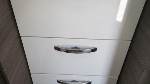 4p McLouis integrated uit 2019