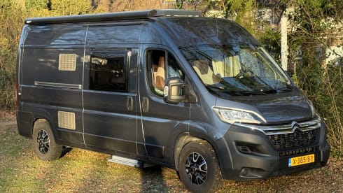 4p Pössl bus uit 2020