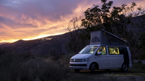 Baroudeur California – VW California T6.1 (Grenoble)