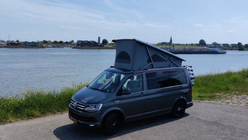 Déesse – VWCalifornia Ocean