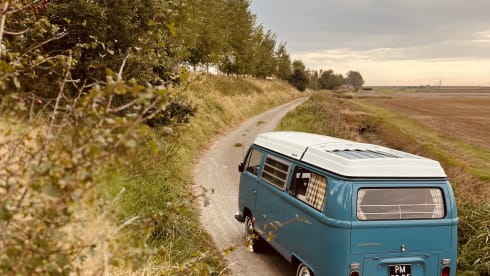 Mr. Blue Sky – Volkswagen T2a Westfalia '69
