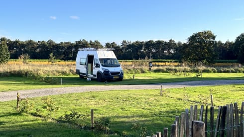 JOEY – 2-seater Peugeot bus from 2019