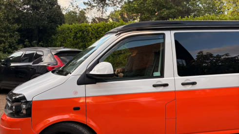MJ  – Camping-car Volkswagen 4 places de 2015