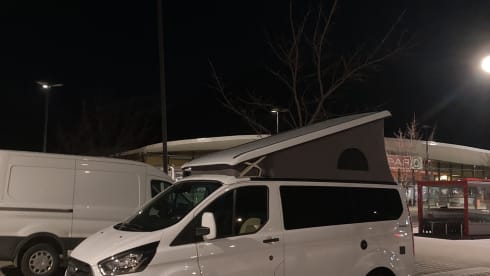 NUGGET – FORD NUGGET