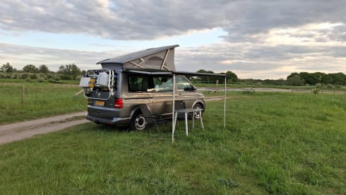 Volkswagen California T5 automatic 4P