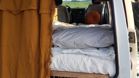 Amerai il nostro bel camper Volkswagen insieme al tuo cane o gatto!