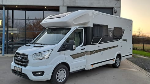 Benimar cocoon 488 2022