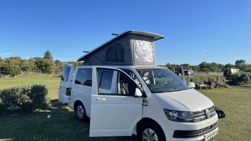 Quicksilver  – White VW T6 Four Berth.