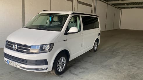 Cali  – Volkswagen California T6 (Factory Camper, original)