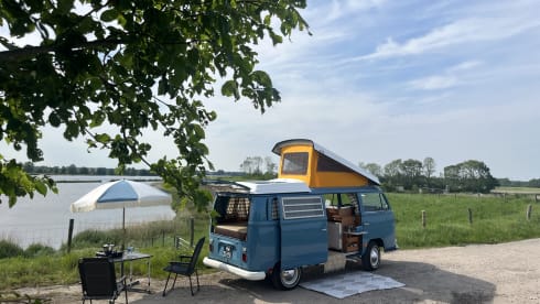 Mr. Blue Sky – Volkswagen T2a Westfalia '69