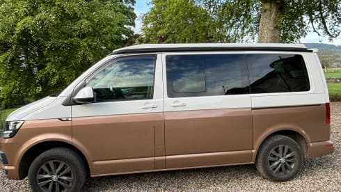 Goldie – Explore with Goldie - Up to 6 Berth VW T6 Campervan