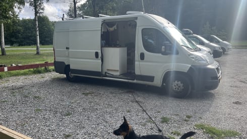 Perro – 2p Peugeot campervan from 2016