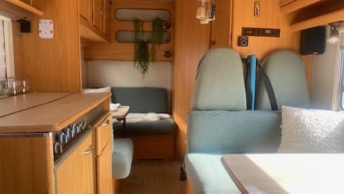 Trees – 6p Peugeot alcove from 1998