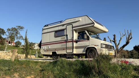 Liberty – Alcove camper 
