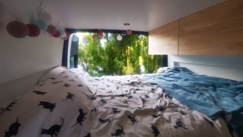 Bustave YFL – Accogliente furgone fai-da-te Ford Transit