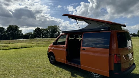 Van Tropez – New Conversion! Automatic VW Transporter w/5 seats