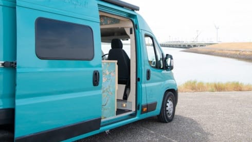 Bloesem – 4p Fiat bus uit 2022