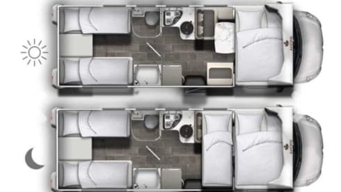 Elina – Ahorn Canada AE