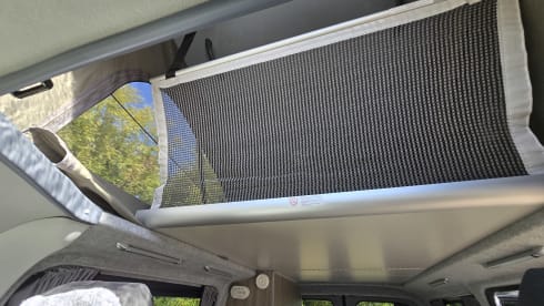 Daisy – Camping-car Volkswagen 4 places de 2017