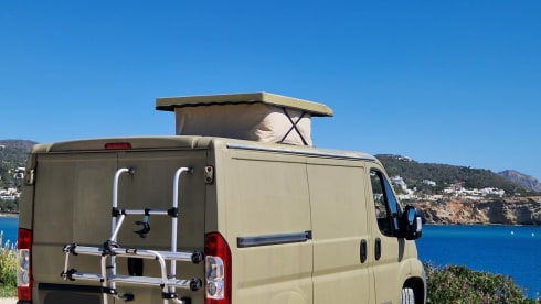 Palmtree – Spaceious Citroën Jumper