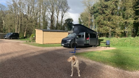 CV – 4 berth Volkswagen campervan from 2024