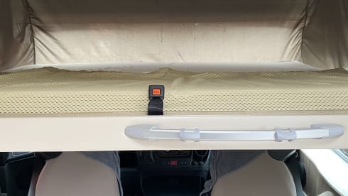 5p McLouis integrated from 2021