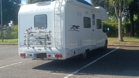 FELU ♥️ – FELU ♥️