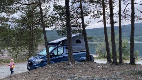 Ford Nugget campervan from 2021 - 185HP