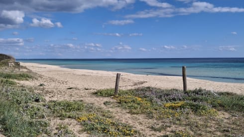 Faustino  – Hotel California 