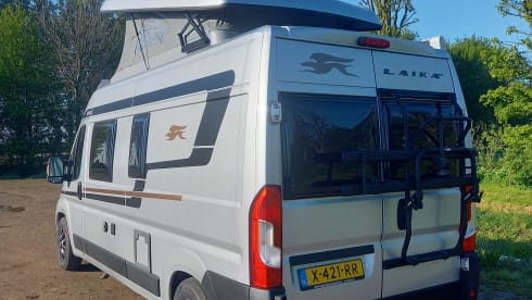 4p camper bus automatic from 2021