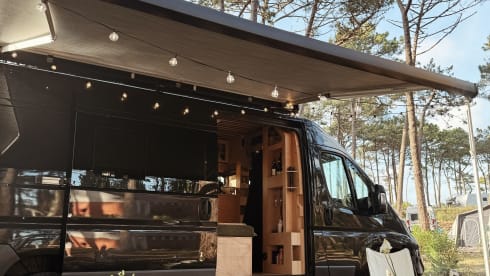 3p Peugeot bus from 2017