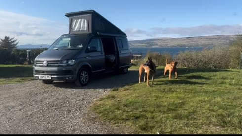 4 berth Volkswagen campervan from 2019