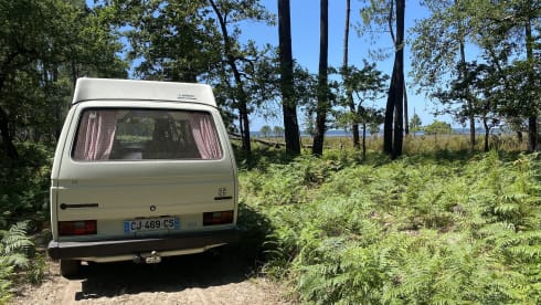 Transporter – Transporter T3 Van Joker Landotte - On the way to adventure!