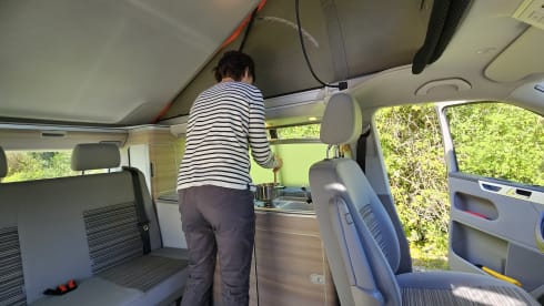 Free Bird – VW California, T5 automaat uit 2014