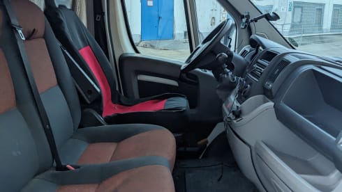 Balu – Vanlife Essentials - probier's mal mit Gemütlichkeit