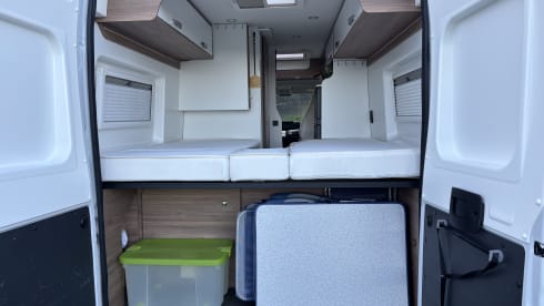2p Pilote bus from 2020
