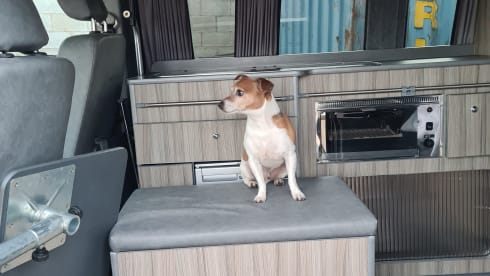 Long wheelbase VW - AM collection and PM return!