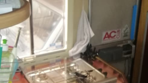 Aralone – Laika Ecovip 2