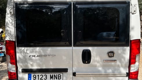 Autobus Bavaria a 4 posti dal 2026