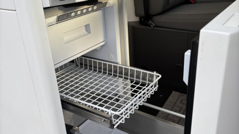 Grote beer – 4p Volkswagen campervan from 2022