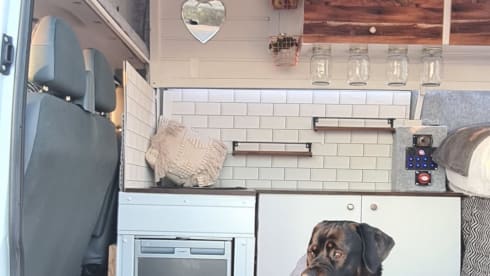 Mr Explorer – Unique 4 berth (2 adults/ 2 children) medium wheel base transit conversion