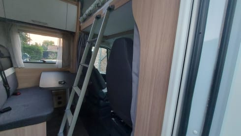 AUTOMATIC - Sunlight A60 - Fiat Ducato - Alcove - 2022