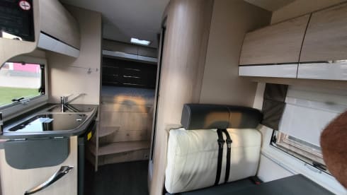 Susi 🦠– Challenger VIP C194