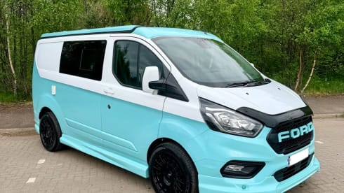 Campervan Ford a 4 posti letto del 2021