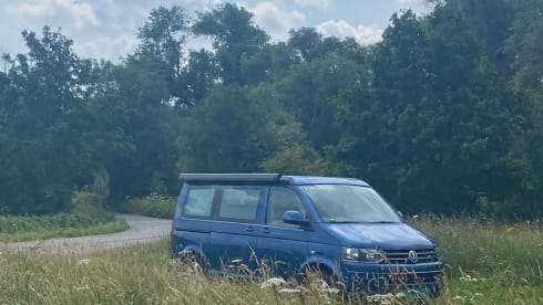Blue California – 4p Volkswagen campervan from 2011