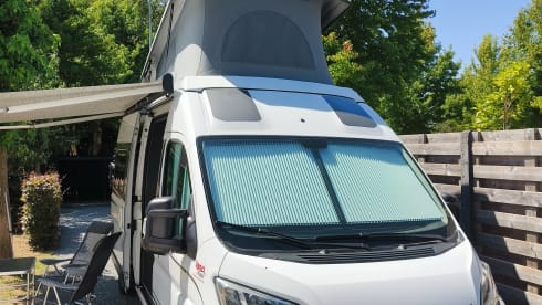 Autobus Bürstner 4 places à partir de 2023