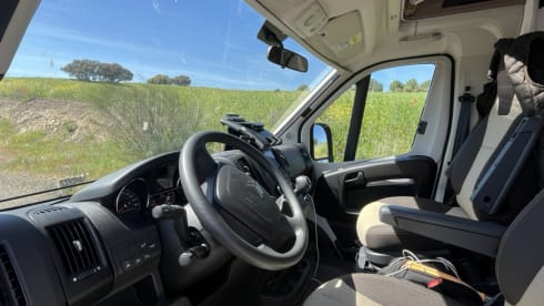 Van 337 – 3p Carado bus from 2024