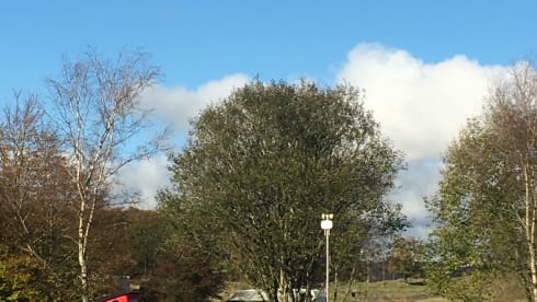 Black Beauty – Black beauty, our Vw T6 top of the range transporter 