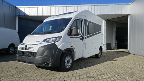 v60  – 3p Sunlight teilintegriert ab 2026