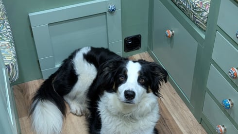 Eden – Beautiful, 3 Berth, Off Grid Conversion 